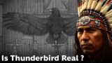 Thunderbird – Native American (Mythology)