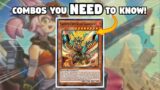 Tri-Brigade Fire King COMBOS you NEED to Know! | December 2023
