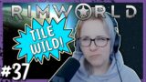 Unraveling the Mysteries of… Work Priorities! | RimWorld Whole Tile Build Challenge Pt. 37