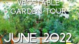 Vegetable Garden TOUR June 2022