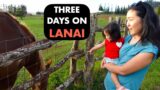 WHAT YOU NEED TO KNOW ABOUT LANAI ISLAND, Inter-island weekend Getaway, Hawaii Travel