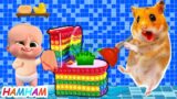 What happened to Hamster's Pop It Toilet | Hamster Cartoon