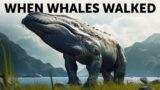 What if whales used to resemble dinosaurs and other impressive leaps in evolution