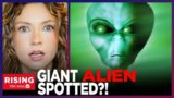 10-FT ALIENS CAUGHT ON CAMERA?! Video Reportedly Shows UFO Visitors; Police Say 'Teenage Brawl'