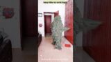GHOST FUNNY VIDEO GHILLIE SUIT TROUBLEMAKER BUSHMAN PRANK try not to laugh tiktok #bhoot #realfools