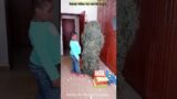 FUNNY VIDEO GHILLIE SUIT TROUBLEMAKER BUSHMAN PRANK try not to laugh Chucky tiktok bhoot #realfools
