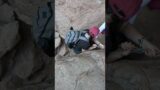 Goldstrike Canyon Hot Springs | Climbing down using Ropes | Pickupsports | Hiking Adventures | 48
