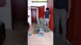 FUNNY VIDEO GHILLIE SUIT TROUBLEMAKER BUSHMAN PRANK try not to laugh tiktok bhoot #realfools #shorts