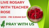 LIVE ROSARY – CHAPLET OF SEVEN SORROWS OF MARY