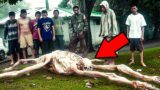 20 SCARIEST Things That Actually Fell From The Sky