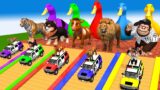 5 Giant Duck, Monkey, Piglet, chicken, dog, dinosaur, Sheep, Transfiguration funny animal 2023