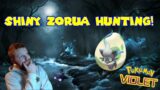 700+ EGGS FOR SPOOKY BOY – Shiny Hunting Hisuian Zorua in Pokemon Scarlet/Violet