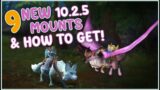 9 New AWESOME Mounts To Collect in Patch 10.2.5! WoW