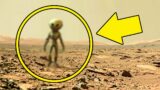 A Scientist Finds Something on Mars, But No One Believes Him