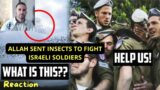 ALLAH SENT INSECTS TO FIGHT ISR4ELI SOLDIERS – REACTION