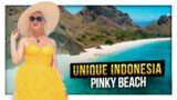 Best places to visit in Indonesia: Pinky Beach | Komodo Islands