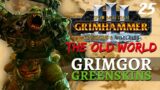 CINEMATIC SIEGE?! | Old World Mod & SFO – Total War: Warhammer 3 – Greenskins – Grimgor #25