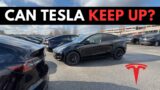Can Tesla Keep up with the Demand? | Model Y Build Quality, Issues, and Problems…