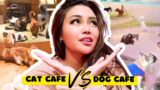 Cats vs dogs: Japan's cutest cafe showdown!