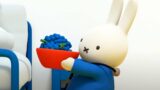 Doctor Miffy to the rescue! | Miffy | Cartoons for Children | Miffy's Adventures Big & Small
