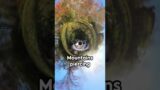 Dreamscape "Insta360" "A New Journey"