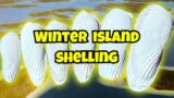 Epic WINTER STORM Shelling the Ten Thousand Islands