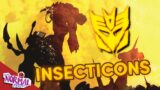 Every DECEPTICON SUB FACTION – PT1: INSECTICONS, SCAVENGERS, BREASTFORCE, PHASE SIXXERS!