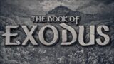 Exodus 8:1-15 l Second Plague