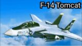F-14 Tomcat, Legend of the Swing-Winged Sky Fighter