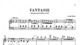 Fantasia in C Major – Haydn/Nathan Gnewikow