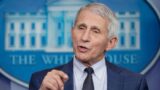 Fauci Should Be Sent To 'Jail' – Top Senator Makes The Case For Doctor To Be Imprisoned