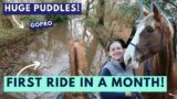 First ride on my horse in a MONTH! GoPro Horse Riding | Riding With Rhi