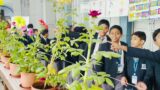 |Flower Exhibition|  'Floral Fantasia 2024' at |St. Lawrence High School| Kolkata