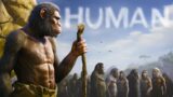 From Dust to Humanity: How and why did Human appear on Earth