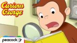 George Tracks Down The Artifact! | CURIOUS GEORGE