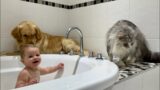 Golden Retriever Protects Adorable Baby Boy In Bath! (Cutest Ever!!)