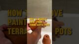 #HOWTO REMOVE PAINT FROM TERRACOTTA POT