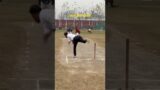 How to do ball death over Yorker #yputubeshorts #yorkerball