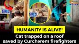#Humanity is alive! Cat trapped on a roof saved by Curchorem firefighters
