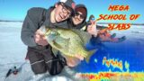 Ice Fishing For BIG Crappie W/ My OG Fishin Buddies!