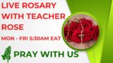 LIVE ROSARY – CHAPLET OF SEVEN SORROWS OF MARY