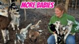 Love This Time Of The Year Babies Everywhere!!!