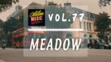 Meadow | Melodic Jazz Dreamscape | Vol 77