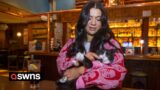 Meet the woman who takes her cat everywhere including on trips to the pub | SWNS