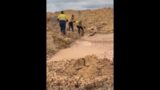 Miners hilariously rescue baby emu