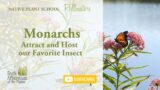 Monarchs: Attract and Host Our Favorite Insect