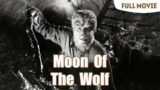 Moon Of The Wolf | English Full Movie | Horror Thriller