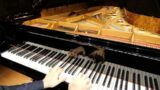 Mozart: Fantasia K 397 in D minor. Roberto Prosseda, Pedal Piano
