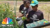 New Jersey Farm Teaches Kids To Grow Crops And Help Their Community