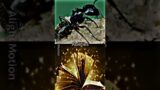 Real Life Ant Vs Fiction